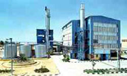 Extension to Egyptian Plant Complex